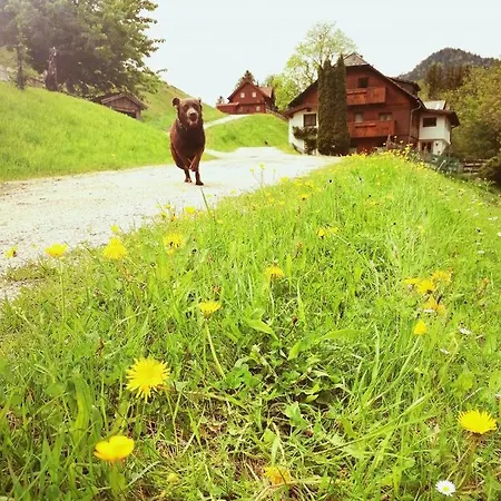 Ferienhaus Ahornhuette Schladming