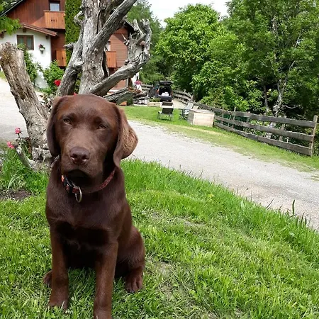 Ahornhuette Holiday home *