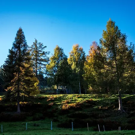 Ahornhuette * Schladming