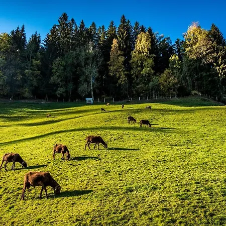 Сasa de vacaciones Ahornhütte