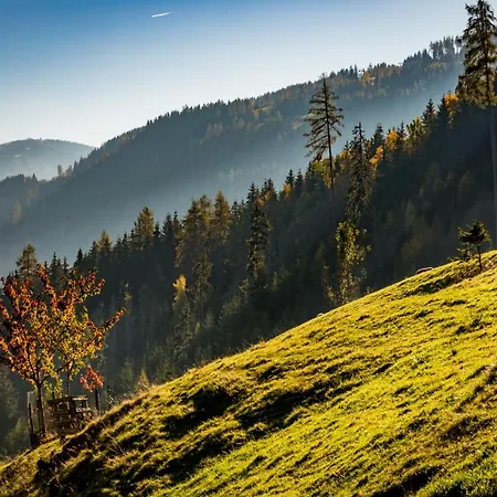 Ahornhuette Schladming