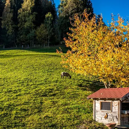 Ahornhuette * Schladming