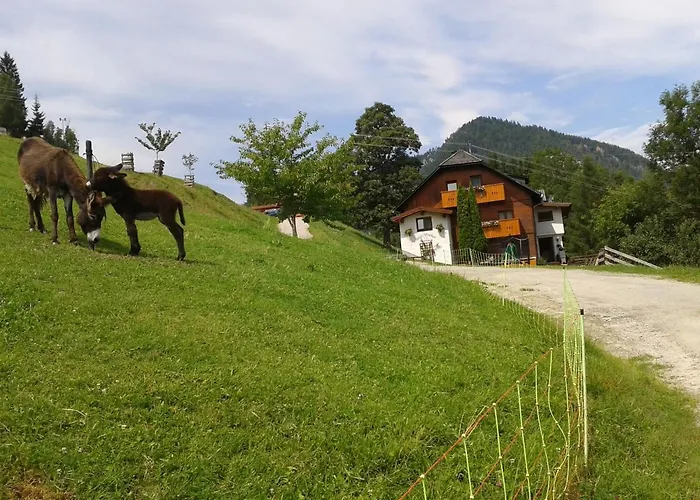 Ahornhuette 度假居