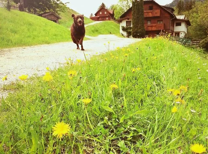 度假居 Ahornhuette 斯拉德明