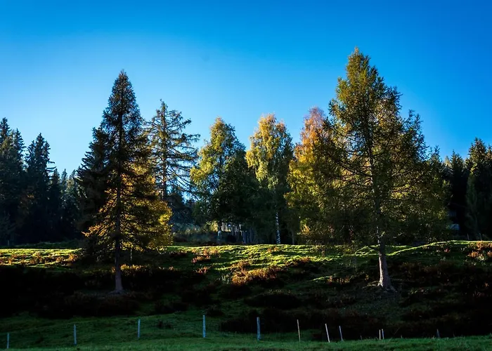 Ahornhuette * 斯拉德明