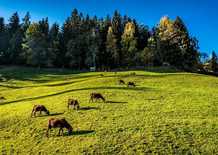 Dom wakacyjny Ahornhuette